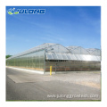 Multi Span Polycarbonate Greenhouses for Vegeatable Planting